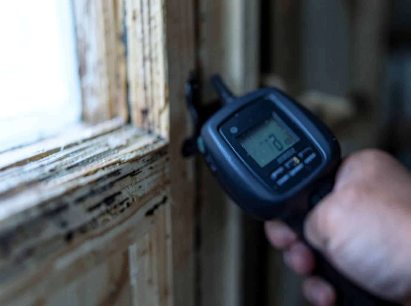 Moisture Inspection And Documentation in Pointblank, TX